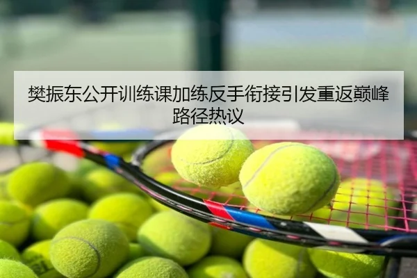 樊振东公开训练课加练反手衔接引发重返巅峰路径热议