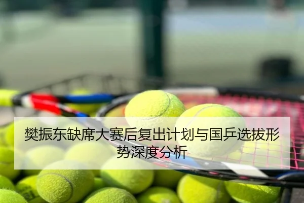 樊振东缺席大赛后复出计划与国乒选拔形势深度分析